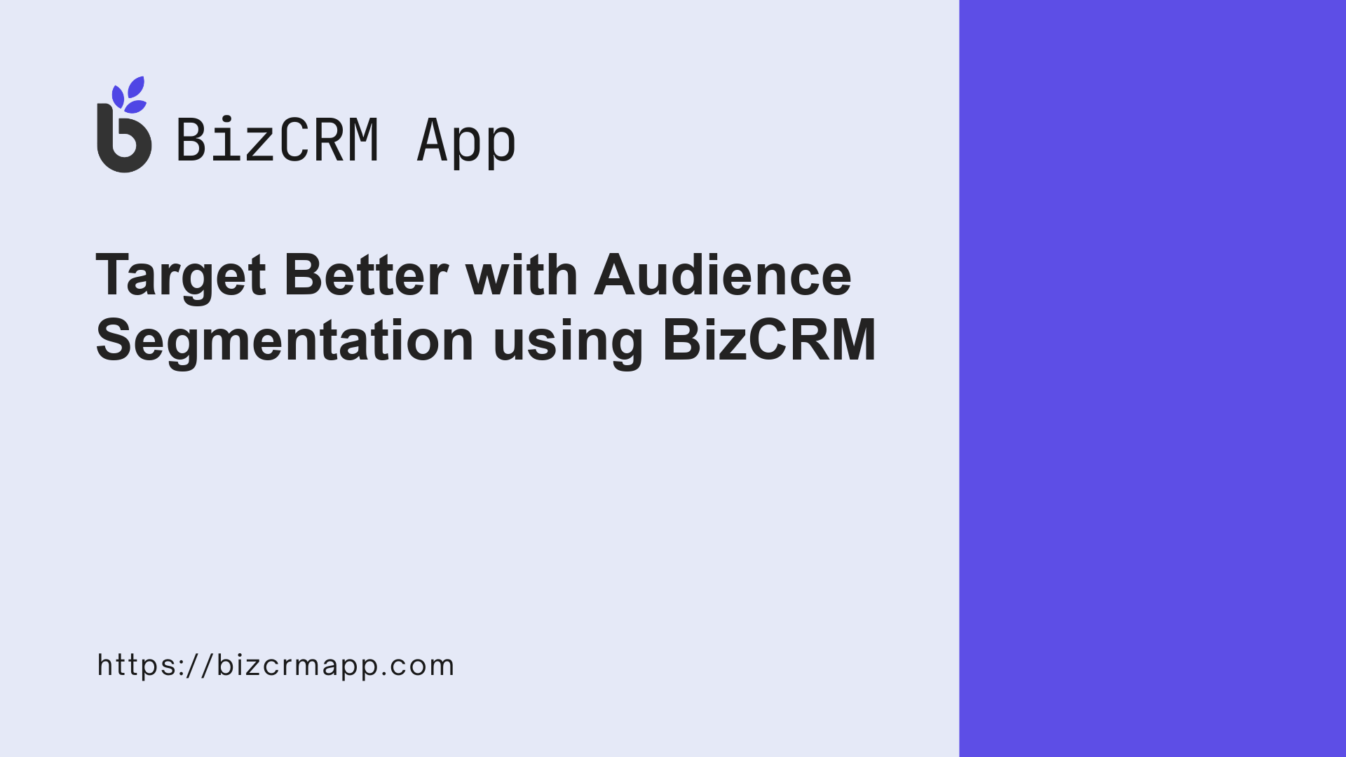 TARGET BETTER WITH AUDIENCE SEGMENTATION USING BIZCRM