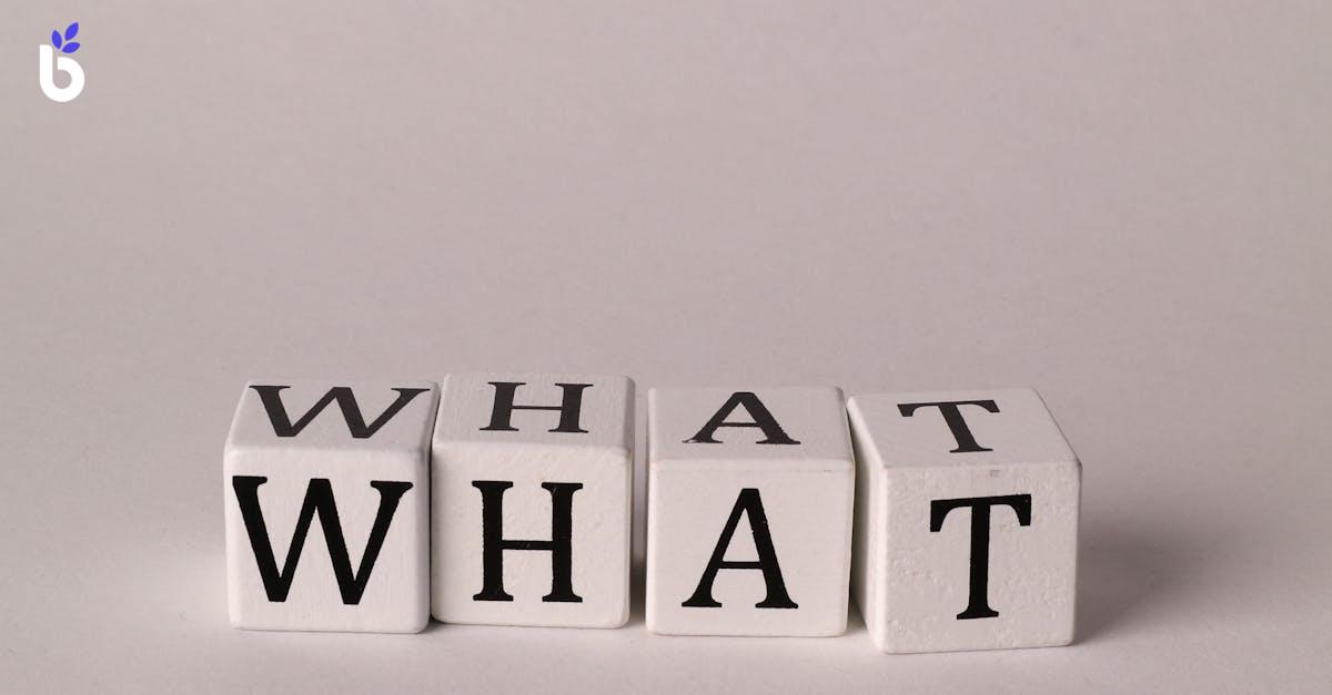 WHAT IS ATTENDANCE REGULARIZATION FORMAT?