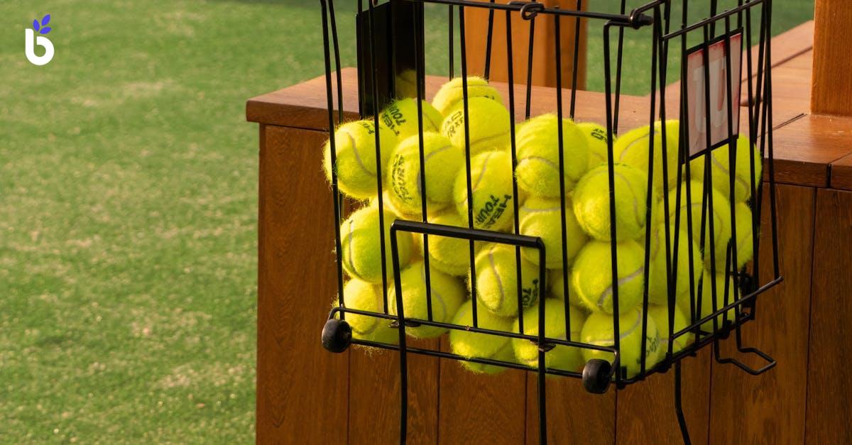 WHAT IS BASKET TRAINING EXAMPLES ?