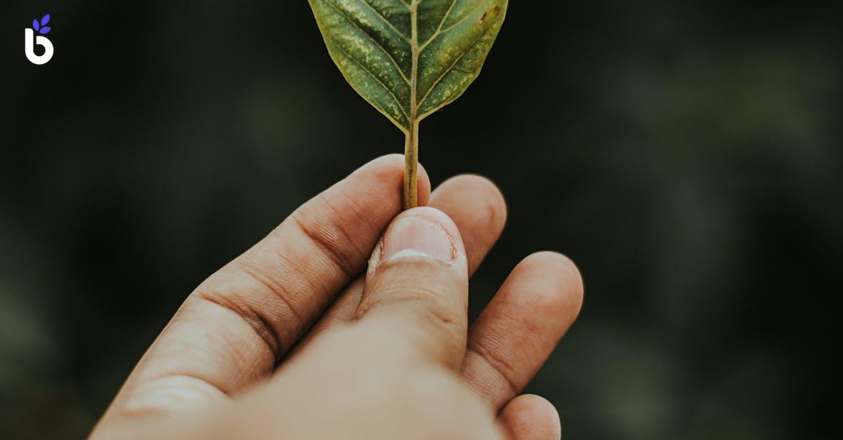 WHAT IS PRIVILEGE LEAVE CALCULATION?