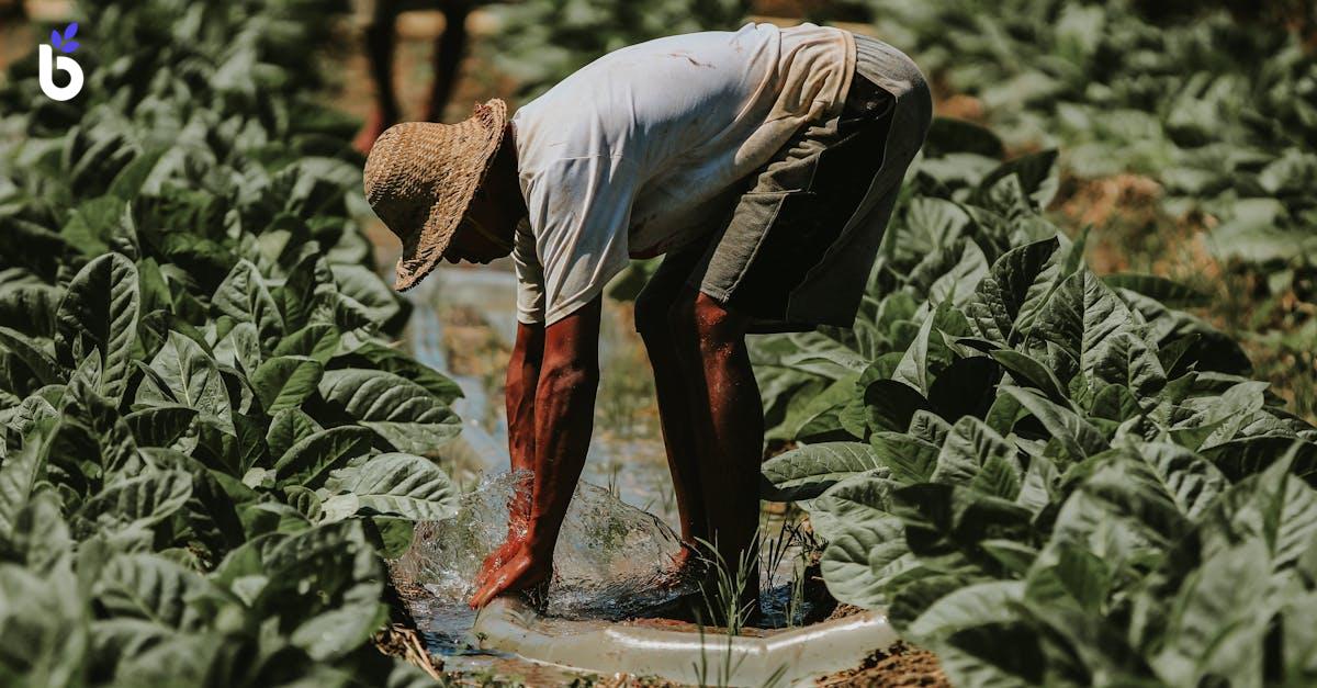 WHAT IS UNFAIR LABOR PRACTICE?