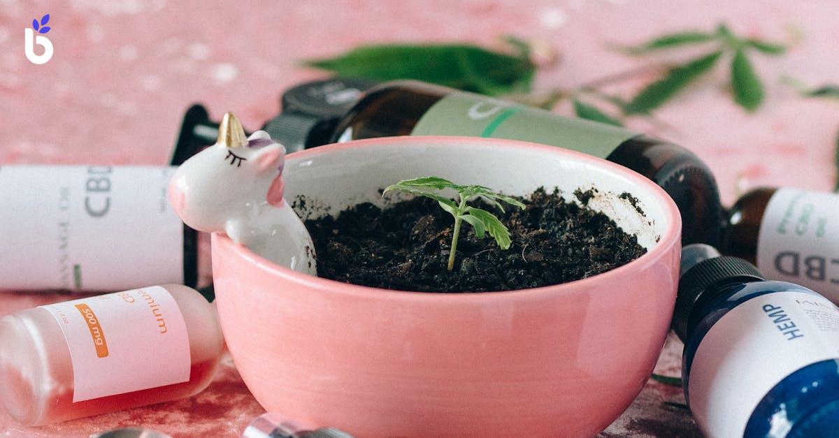 WHAT IS UNICORN STARTUP?