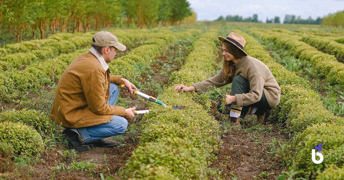 AGRICULTURE FIELD OFFICER JOB DESCRIPTION - BIZCRM APP